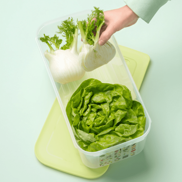 Tupperware VentSmart 6,1 l Lime - Afbeelding 2