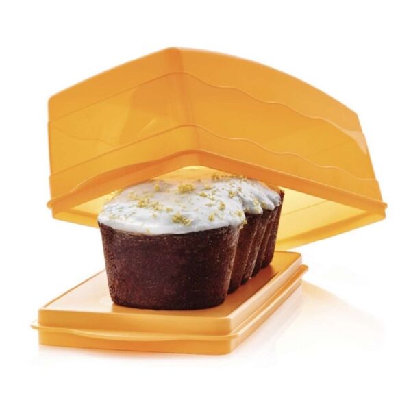 Tupperware Trendy Cakedoos
