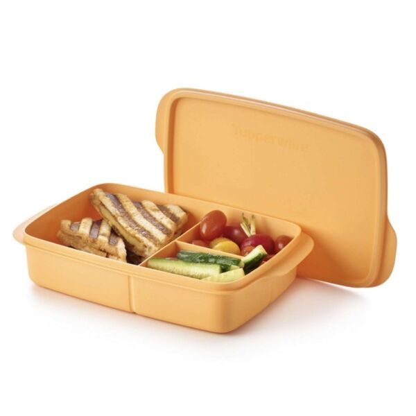 Tupperware Vakjeslunchbox Oranje