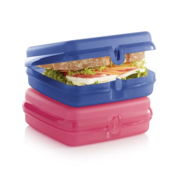 Tupperware broodtrommels vierkant snackies