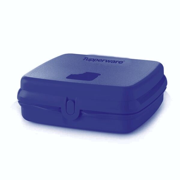 Tupperware snackies vierkant blauw