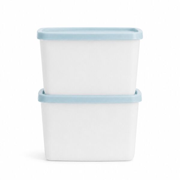 Tupperware diepvriesbakjes 700 ml diepvriesdoosjes bakjes met deksel vriezer