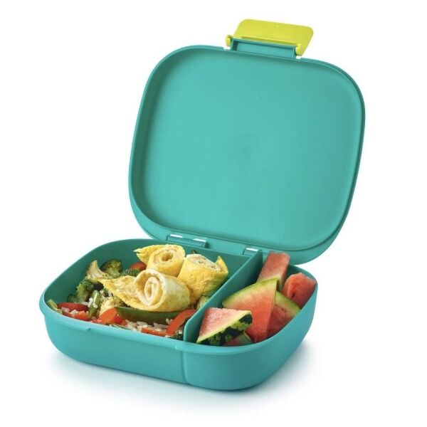 tupperware-ww-st-2107-1171