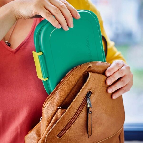 tupperware-ww-st-2109-1217
