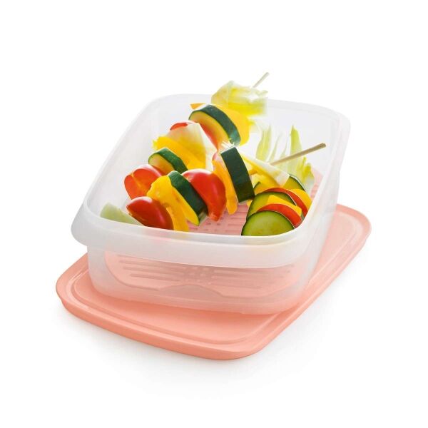 Tupperware Vleeswarenschaal met rooster Tupperware Vleeswarenschaal met rooster