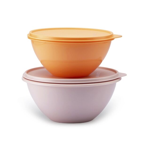 Tupperware Wonderkommen set 2 delig Tupperware Wonderkommen set 2 delig