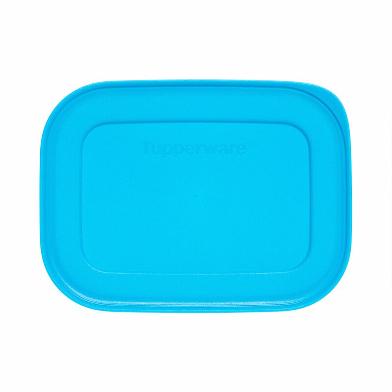 Tupperware Losse Deksel voor Igloo Diepvriesbakje 450 ml