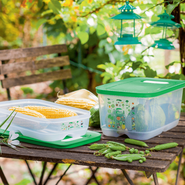 Tupperware VentSmart Set 4-delig - Afbeelding 4