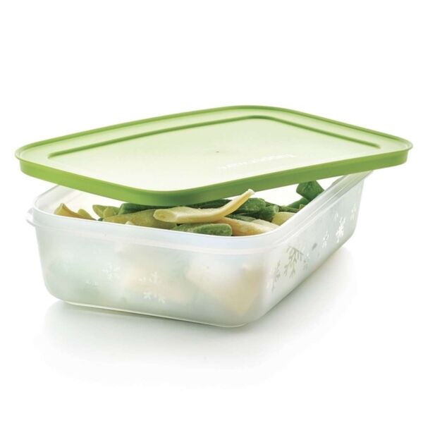 Tupperware Igloo Doos 1 l