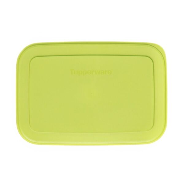 Tupperware Deksel voor Igloo Doos