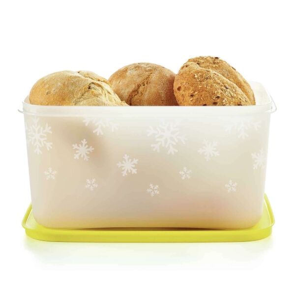 Tupperware Igloo Doos 2,5 l