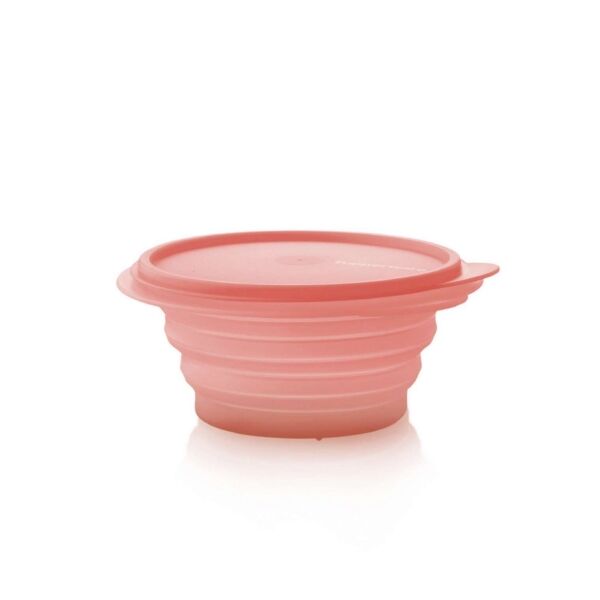 Tupperware Mini Max 700 ml