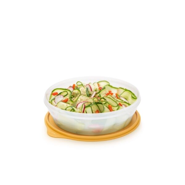 Tupperware Classico 240 ml