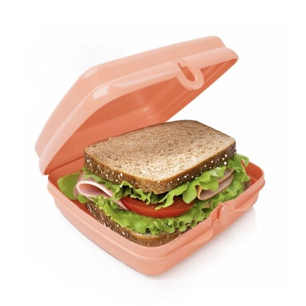 Tupperware Eco Sandwichdoos Vierkante lunchbox zalm oranje