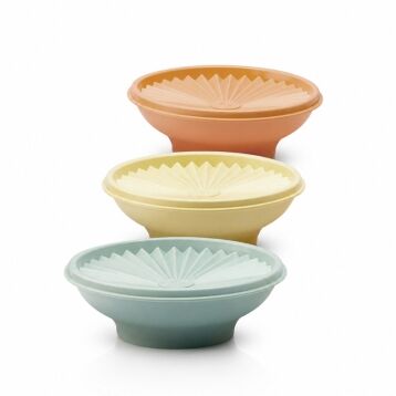 Tupperware kommen met zonnedeksel zonnekommen Tupperware kommen met zonnedeksel zonnekommen