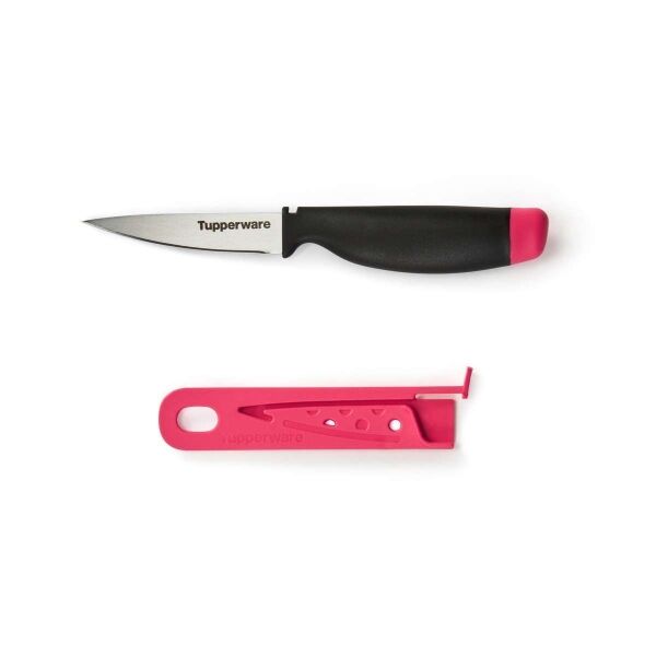 Tupperware Schilmes