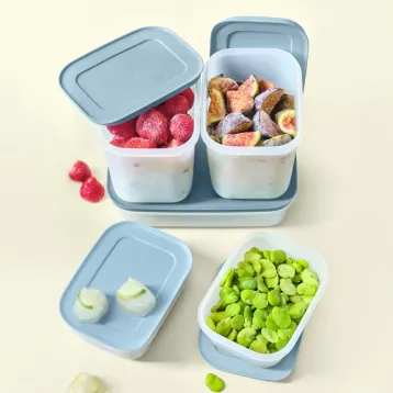 Tupperware Diepvriesbakjes Set Igloo Alaska Tupperware Diepvriesbakjes Set Igloo Alaska