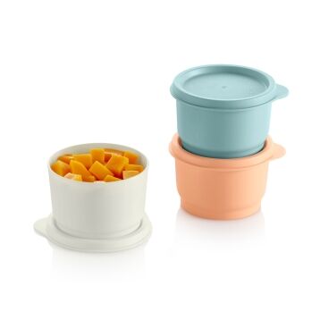 tupperware-ww-st-2309-13006