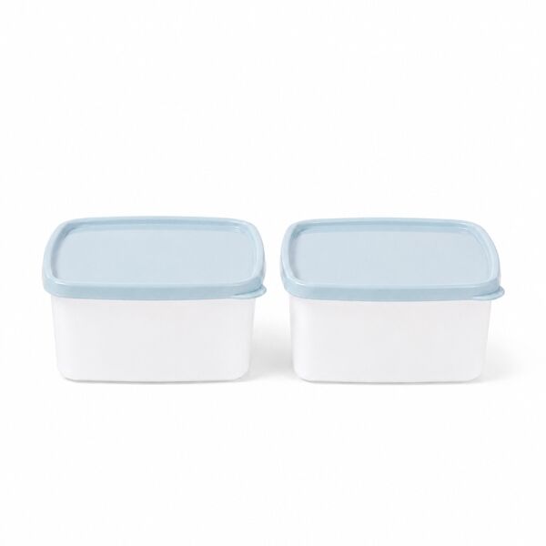 Tupperware diepvriesbakjes 400 ml diepvries doosjes